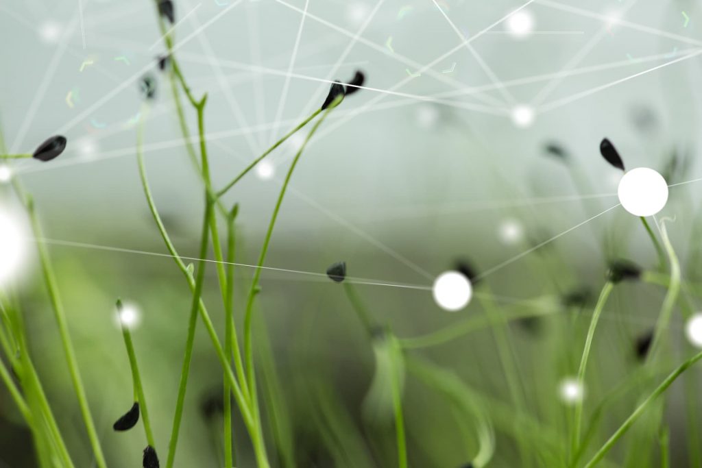 SAP Netzwerk SAP Netzwerk